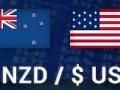 الدولار النيوزلاندي وأسبوع من المكاسب القوية